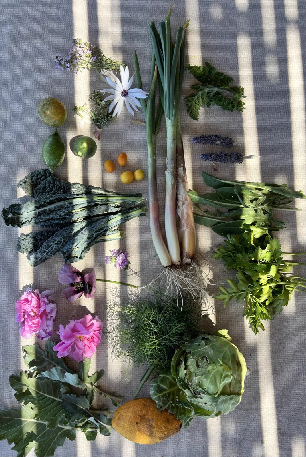 The morning harvest laid out on cloth